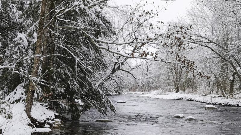 Lang Station - New Boston, NH