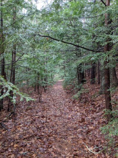 Lang Station - New Boston, NH