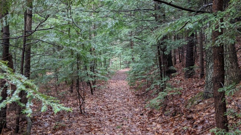 Lang Station - New Boston, NH