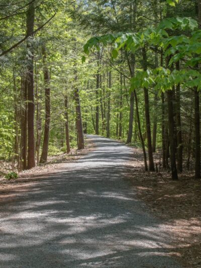 Lang Station State Forest - New Boston, NH