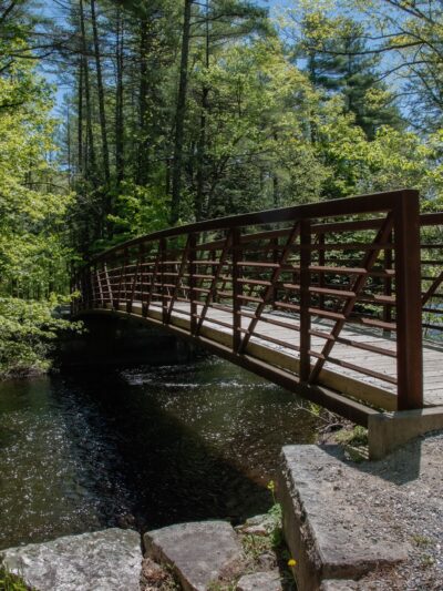 Lang Station State Forest - New Boston, NH