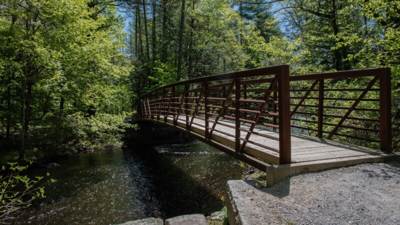 Lang Station State Forest - New Boston, NH