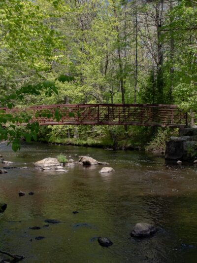 Lang Station State Forest - New Boston, NH