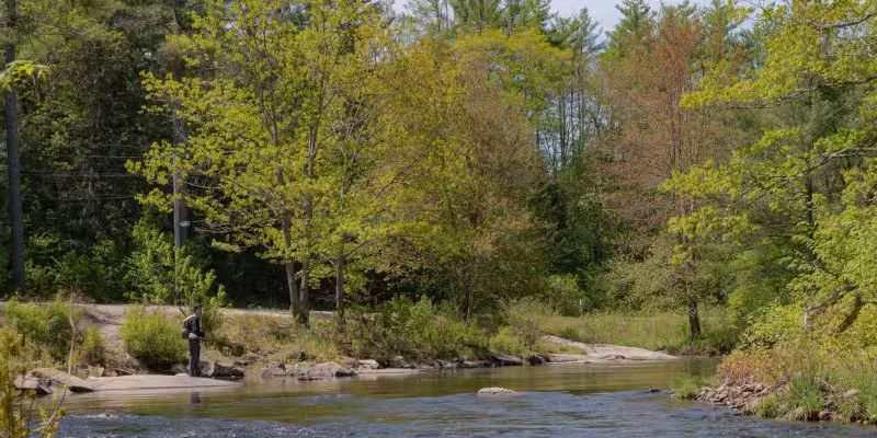 Lang Station State Forest - New Boston, NH