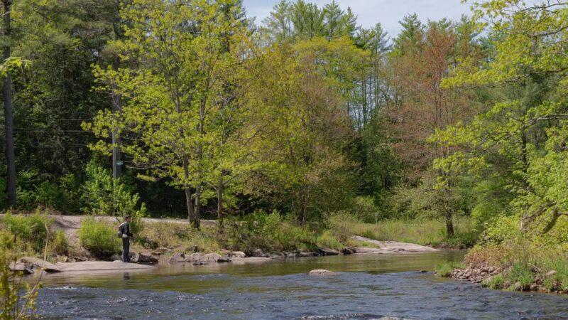 Lang Station State Forest - New Boston, NH