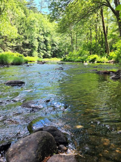 New Boston Conservation Area - New Boston, NH