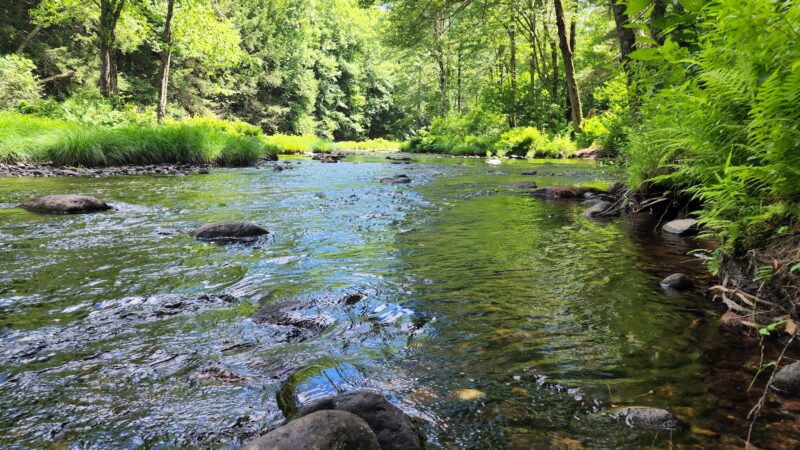 New Boston Conservation Area - New Boston, NH