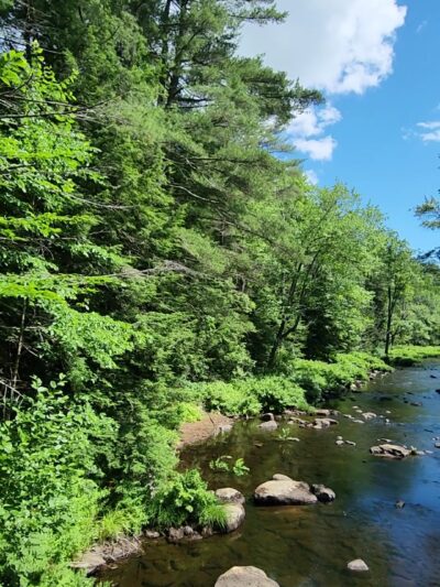 New Boston Conservation Area - New Boston, NH