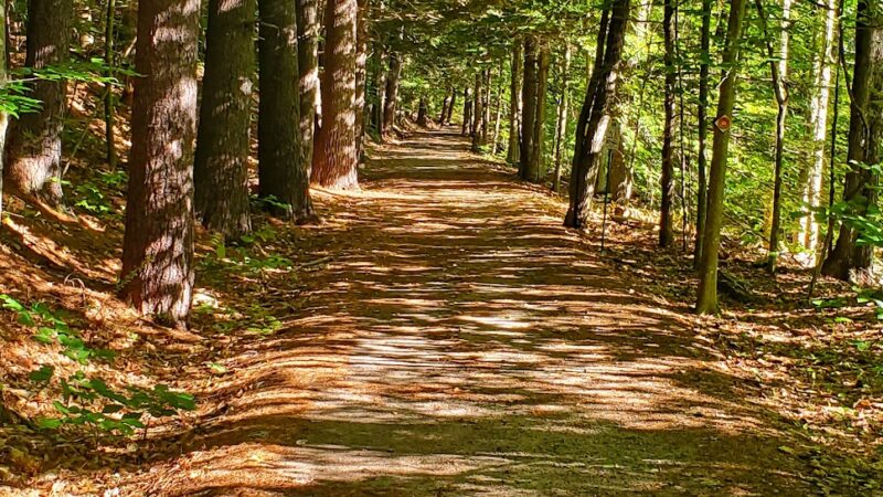 New Boston Rail Trail South Trailhead - New Boston, NH