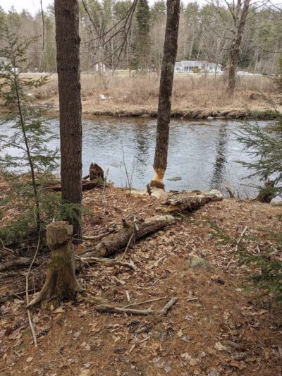 New Boston Rail Trail South Trailhead - New Boston, NH