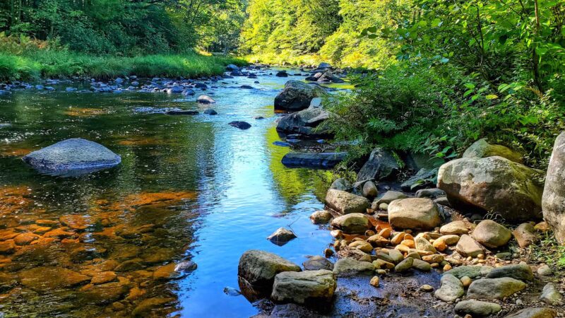 New Boston Rail Trail South Trailhead - New Boston, NH