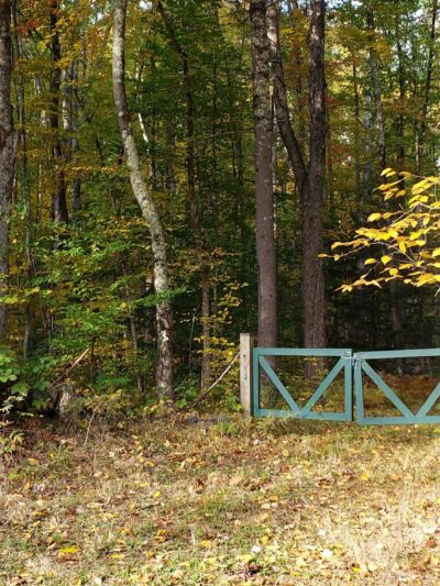 Tuthill Woodlands Preserve - New Boston, NH