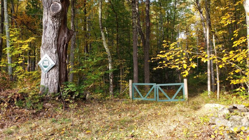 Tuthill Woodlands Preserve - New Boston, NH