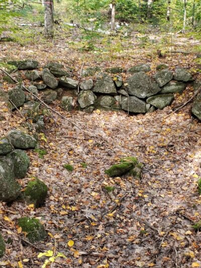 Tuthill Woodlands Preserve - New Boston, NH