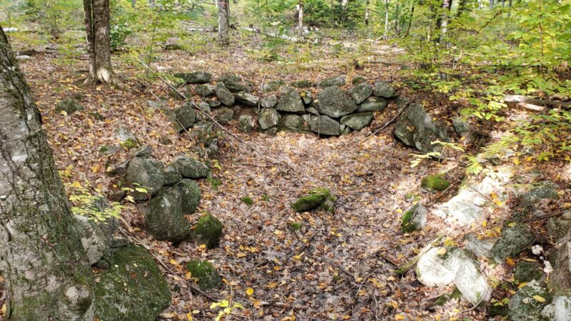 Tuthill Woodlands Preserve - New Boston, NH