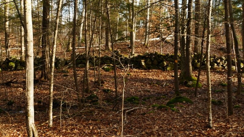 Tuthill Woodlands Preserve - New Boston, NH