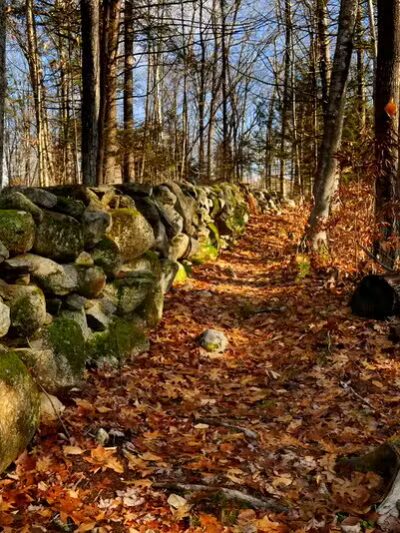 Tuthill Woodlands Preserve - New Boston, NH