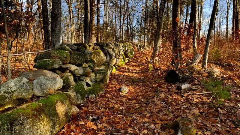 Tuthill Woodlands Preserve - New Boston, NH