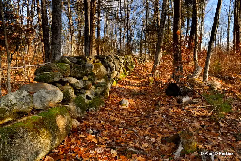 Tuthill Woodlands Preserve - New Boston, NH
