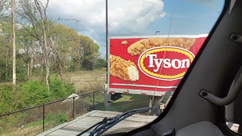 Dog Park at Love's Travel Stops - New Boston, TX