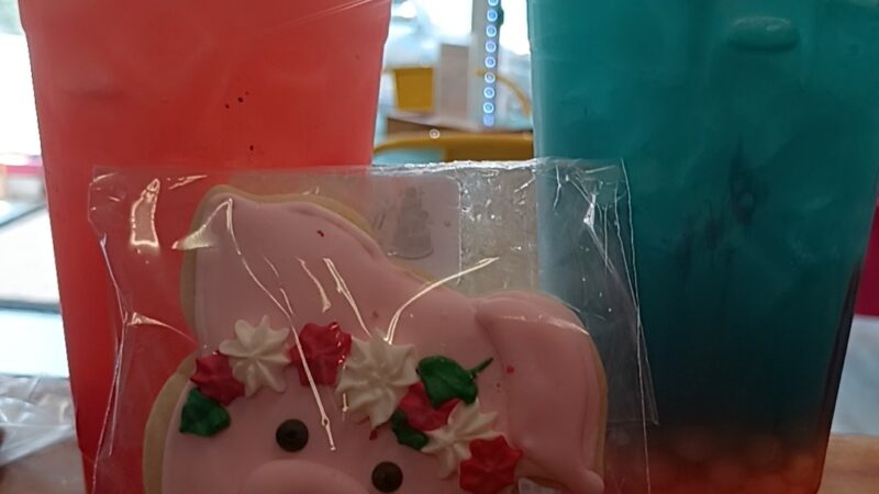 Slurp-N-Burst Boba Tea - New Brighton, PA
