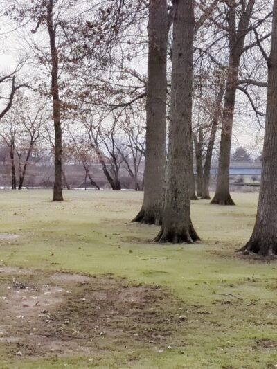 Buccleuch Park - New Brunswick, NJ