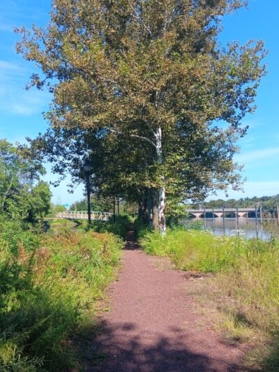 Riverside Park - New Brunswick, NJ