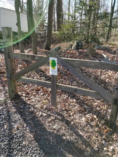 Colhoun Preserve - New Canaan, CT