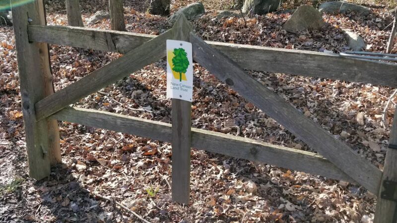 Colhoun Preserve - New Canaan, CT