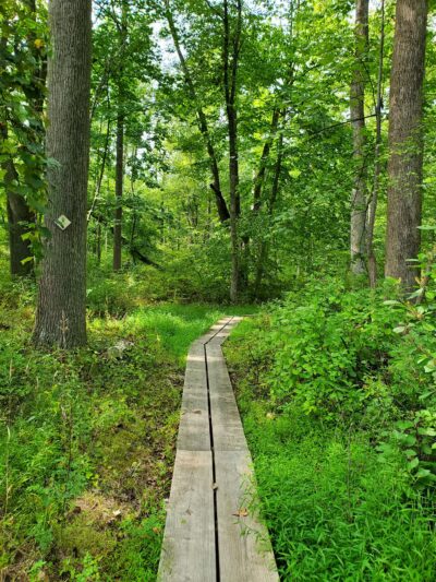 Colhoun Preserve - New Canaan, CT