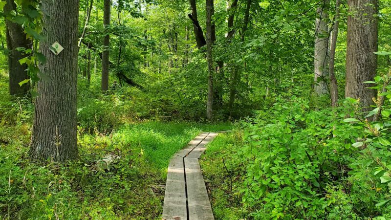 Colhoun Preserve - New Canaan, CT