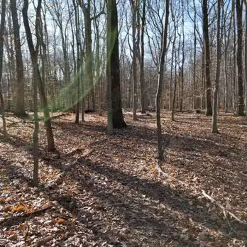 Colhoun Preserve - New Canaan, CT