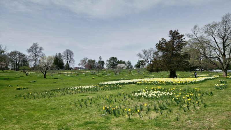 Irwin Park - New Canaan, CT