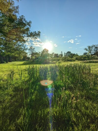 Irwin Park - New Canaan, CT