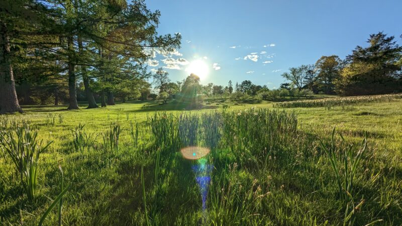 Irwin Park - New Canaan, CT