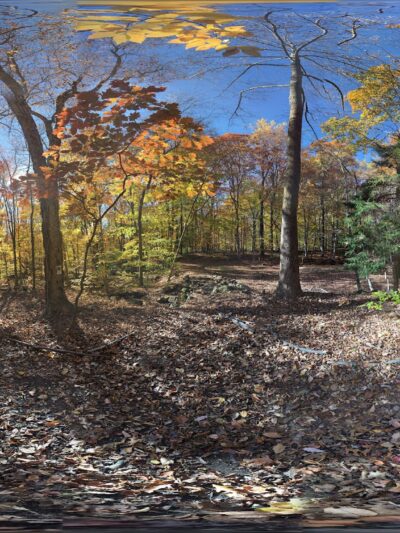 Watson Symington Woodlands (NCLT) - New Canaan, CT