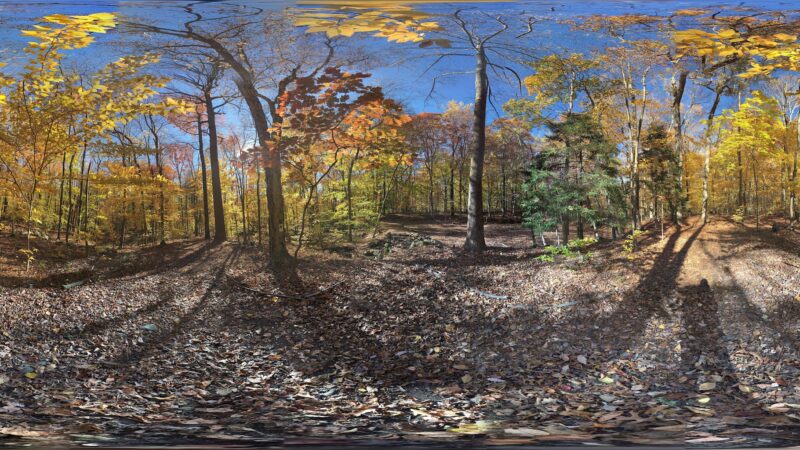 Watson Symington Woodlands (NCLT) - New Canaan, CT