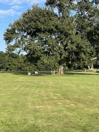 Waveny Park - New Canaan, CT