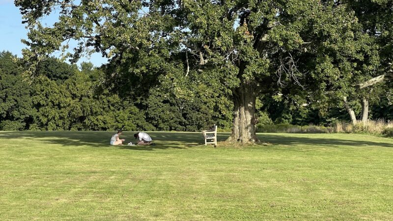 Waveny Park - New Canaan, CT
