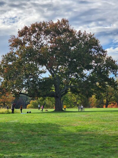Waveny Park - New Canaan, CT