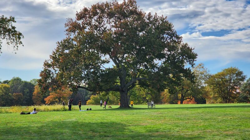 Waveny Park - New Canaan, CT