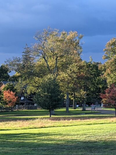 Waveny Park - New Canaan, CT