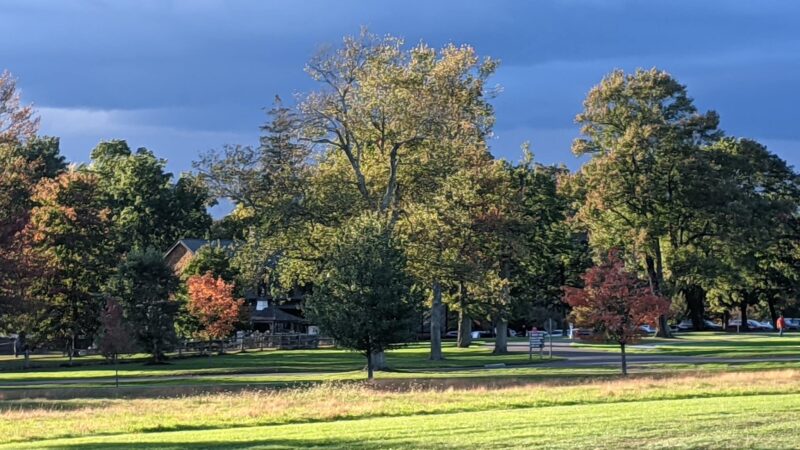 Waveny Park - New Canaan, CT
