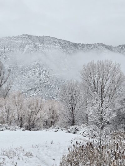 Alder Park - New Castle, CO
