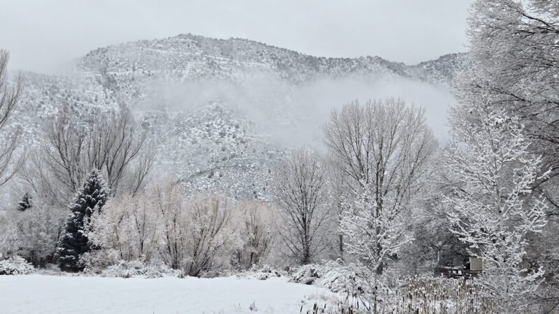 Alder Park - New Castle, CO