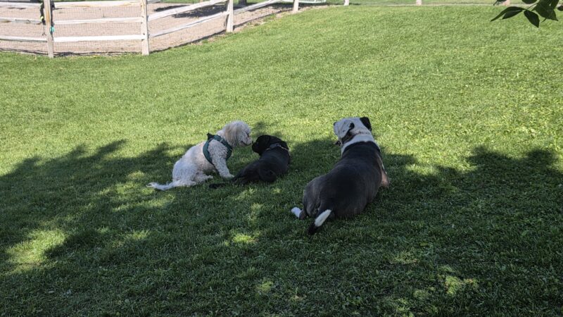 VIX Ranch Park - New Castle, CO