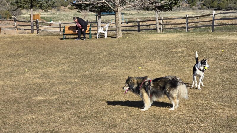 VIX Ranch Park - New Castle, CO