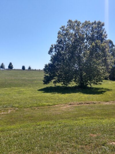 Michael Brent Playground - an All Accessable Park - New Castle, KY
