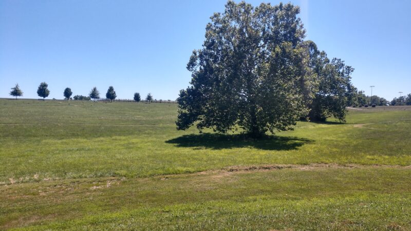 Michael Brent Playground - an All Accessable Park - New Castle, KY