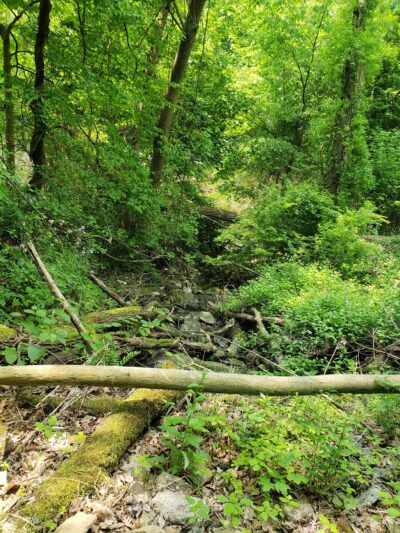 Riverwalk Trail - New Castle, PA